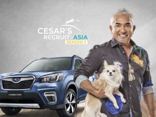 Cesar's Recruit