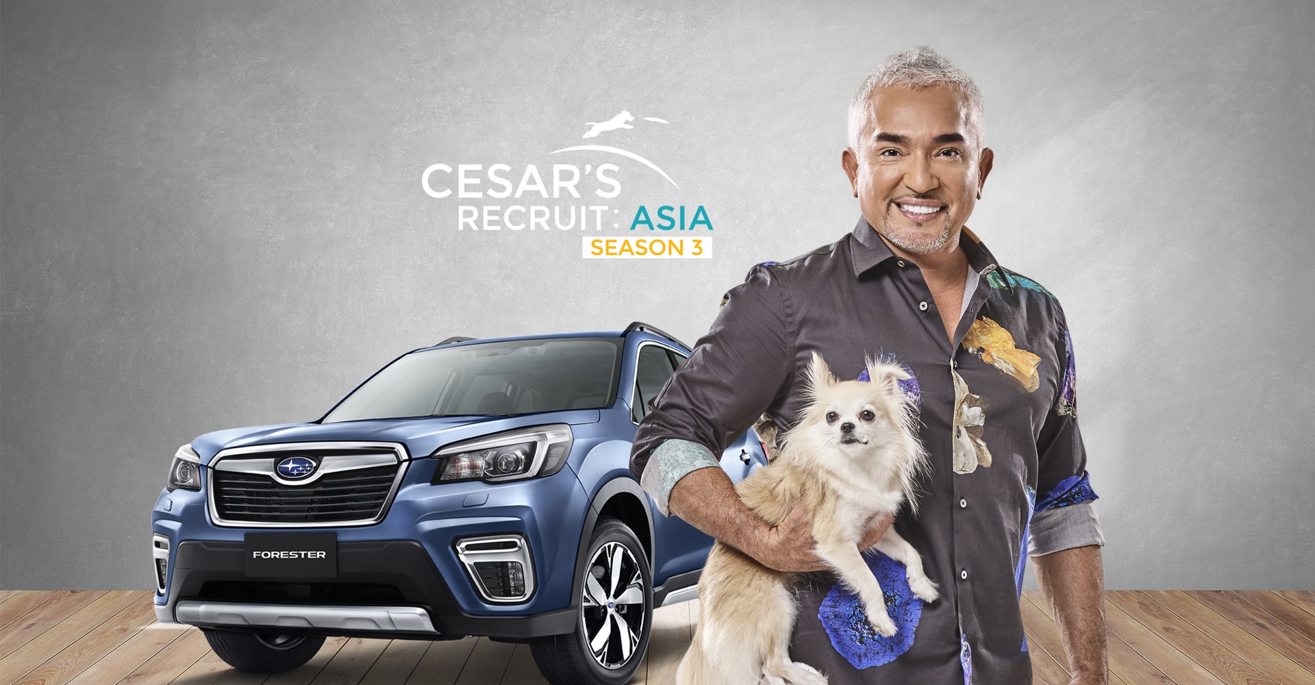 cesar recruit web mockup