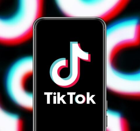 The Rise of The Animators on Tiktok