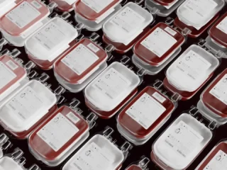 One Bag - Blood Bag
